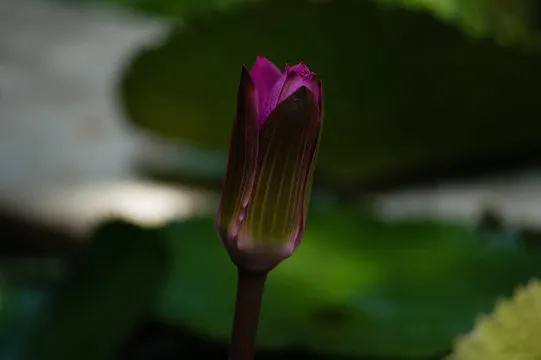 统一入口与结构化检索的界面示意